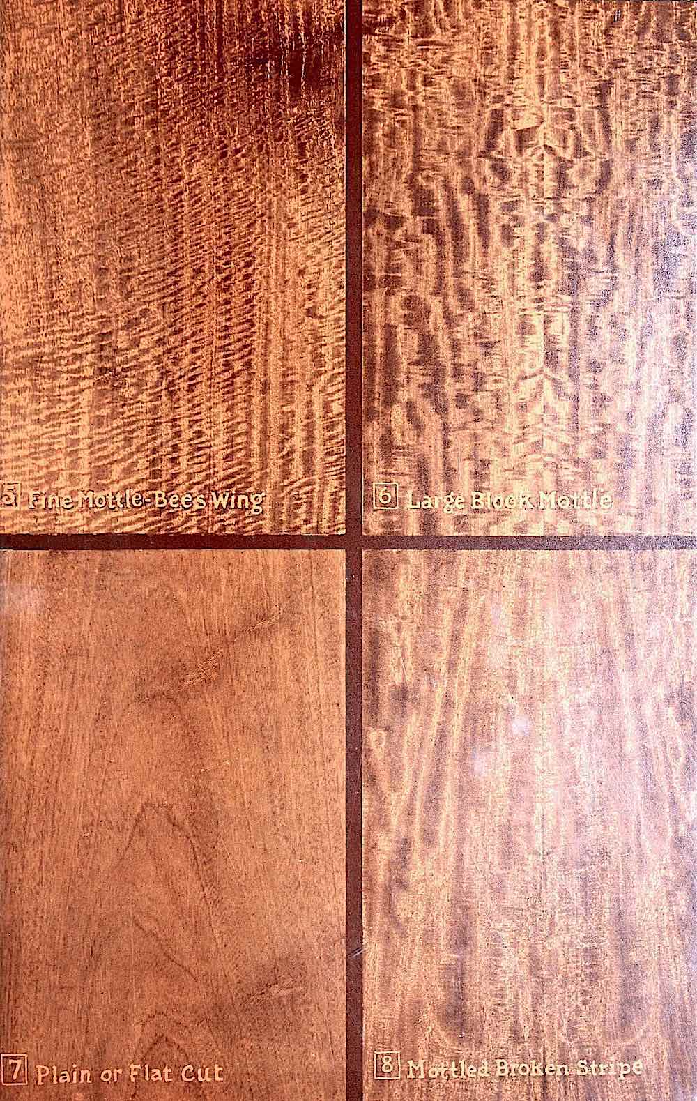 wood panel samples 1956