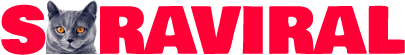 World Research24 - You can see all types of news here!
