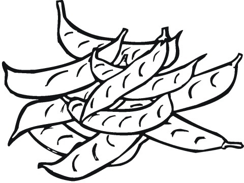 Download Green Peas Vegetable Coloring Pages