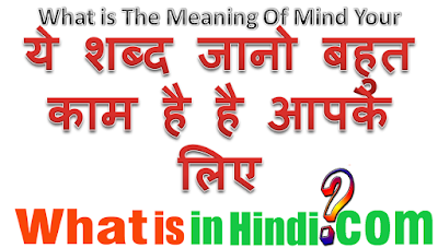 What is the meaning of Mind your in Hindi