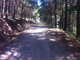 Ruta en bici de Madrid al Puerto de la Morcuera, julio 2012