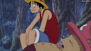 ワンピース アニメ 150話 ルフィ チョッパー | ONE PIECE Episode 150