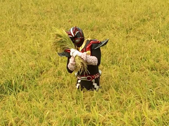 Są bohaterowie, którzy poza demolowaniem miasta w walce ze śmiertelnymi wrogami, potrafią zająć się czymś pożytecznym. Chojin Neiger (lub Super God Neiger) zajmuje się sadzeniem ryżu. Japoński superbohater przypominający wojownika z Power Rangers stawia na rolnictwo!
