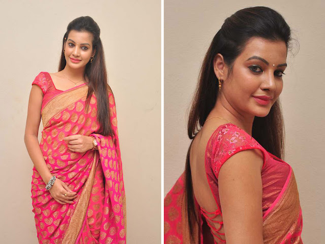 Actress Diksha Panth lovely pics in saree