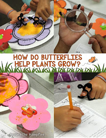 Butterfly life cycle pollination activities