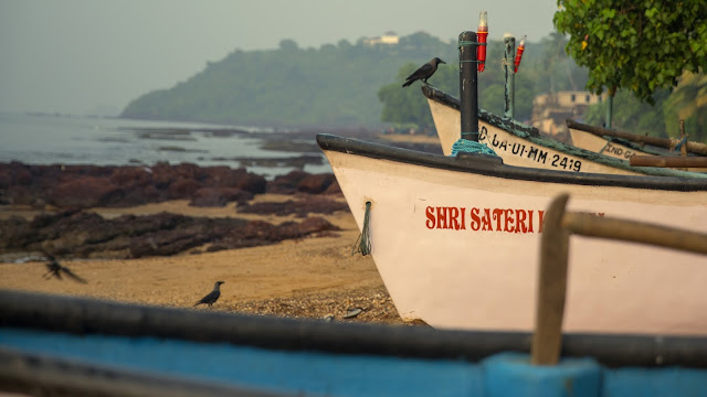 Baga Beach Goa