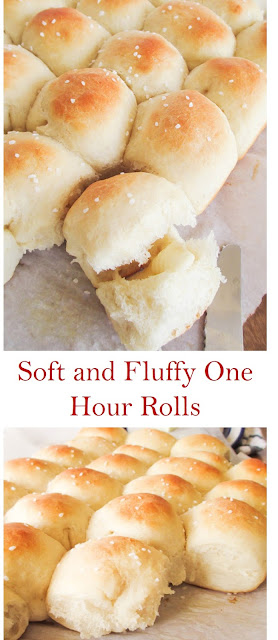 Soft and Fluffy One Hour Rolls #Soft and #Fluffy #One #Hour #Rolls #SoftandFluffyOneHourRolls