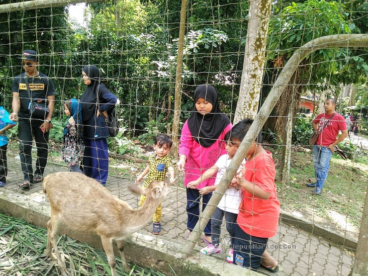 Taman Botani Shah Alam, Bukit Cerakah