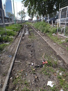 223dev-DSC02299