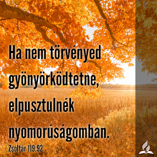 Kép