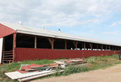 show cattle barn plans
