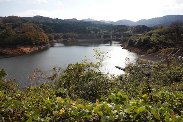 鳥取県西伯郡南部町下中谷 鳥取県道180号伯耆溝口停車場線からの眺望