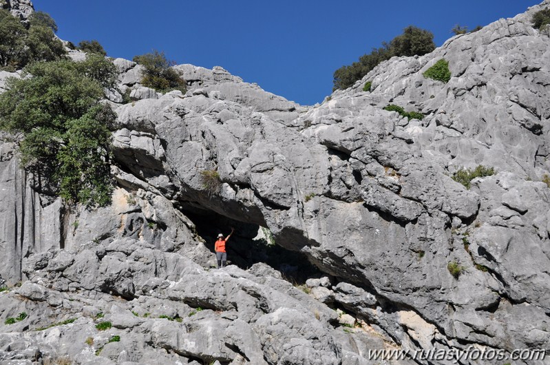 Benaocaz-El Hoyo-Jauletas-Puerto de Don Fernando