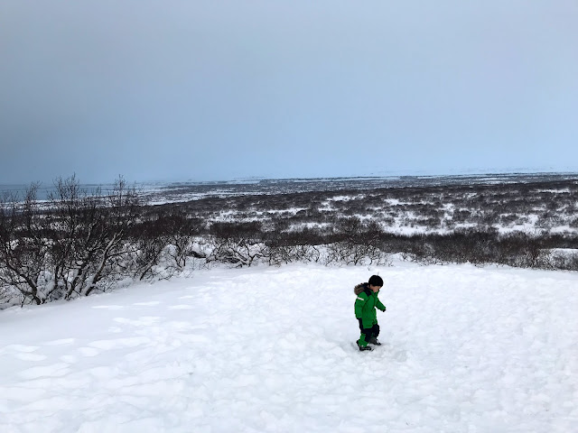 アイスランドの冬場の風景