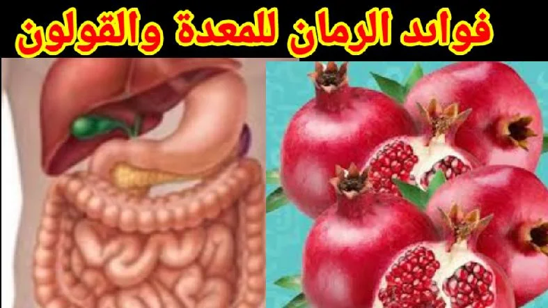 فوائد الرمان للمعدة وللقولون.