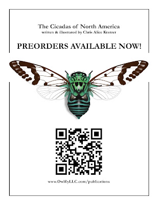 Cicada%20Preorders%20Advert(1).jpg