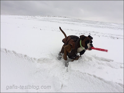 Sprint im Tiefschnee