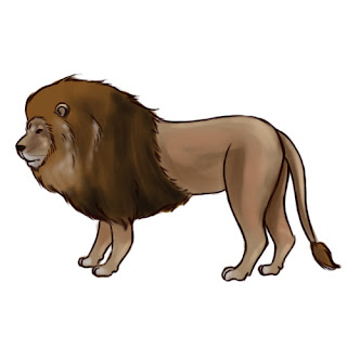 How to draw a Lion