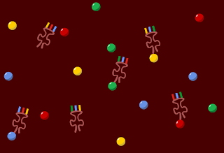 Аминокислоты попадают в рибосому с помощью  транспортных РНК - тРНК 