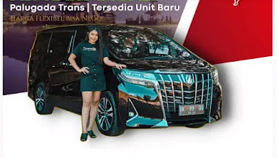 Sewa Mobil Alphard di Bali