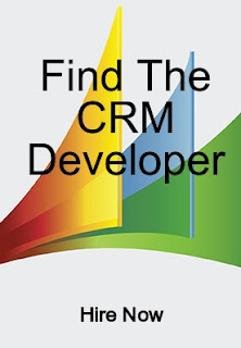 Hire CRM Developer- BR Softech