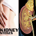 Most Common Daily Harmful Habits That Can Actually Damage Your Kidneys