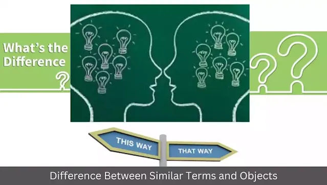 Difference Between Similar Terms and Objects