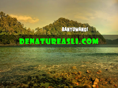 Obat De Nature Di Banyuwangi