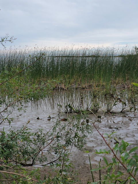 Bañado del Yacaré, Uruguai