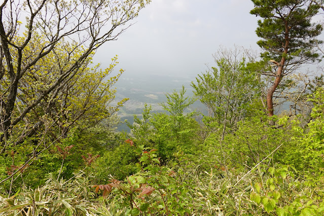 鳥取県西伯郡大山町宮内 孝霊山 山頂の風景