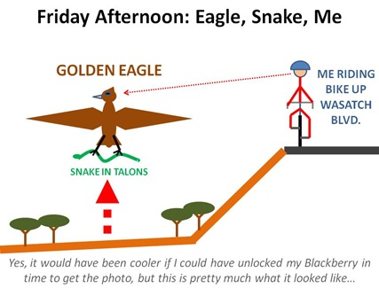 eagle snake me