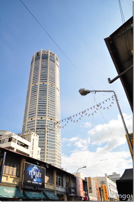 DSC_3981