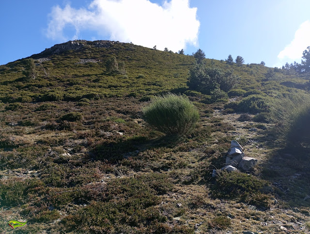Subida al Techo de la Rioja. Pico San Lorenzo (Sierra de La Demanda)