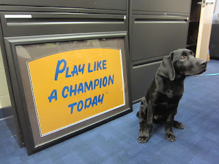 Coach is sitting next to a sign that says Play Like a Champion Today!