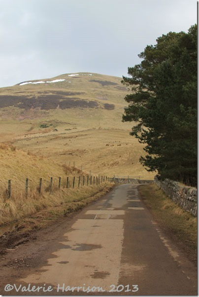 17-road