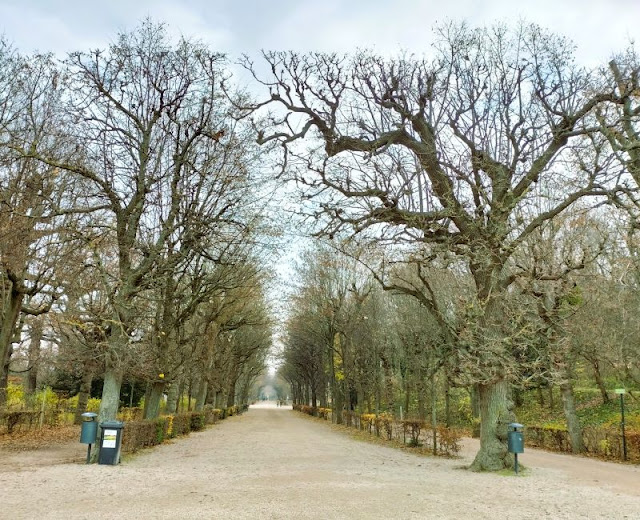 viale giardini Schönbrunn Vienna