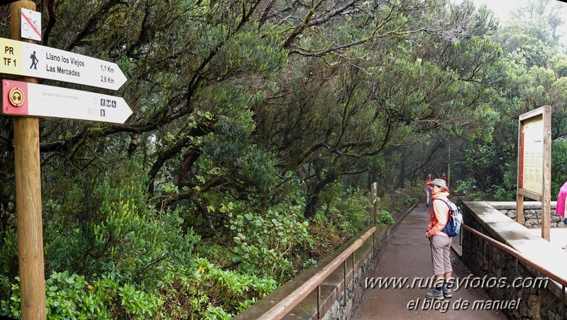 Sendero de los Sentidos - Sendero de los Enigmas