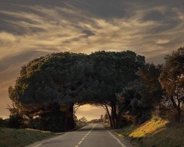 Alentejo in Portugal 