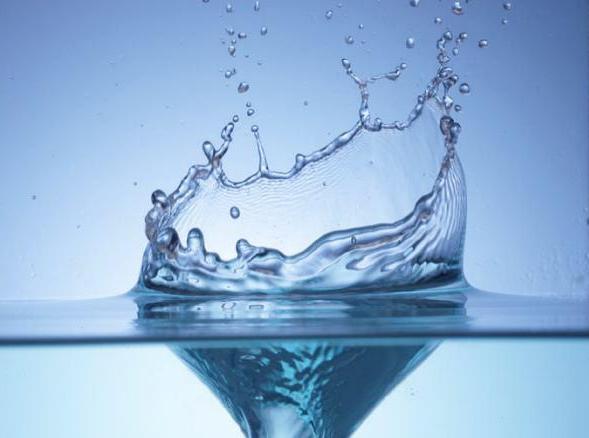 Importancia Del Agua. La importancia del agua en la