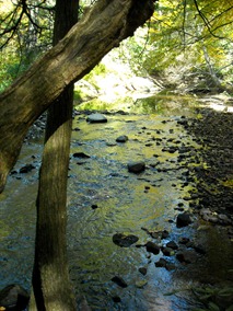 DSCN0237