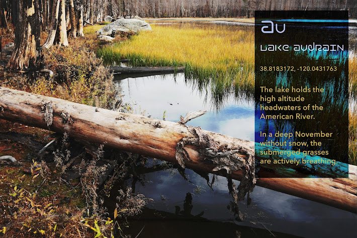 Lake Audrain, log in water, winter