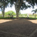 View album