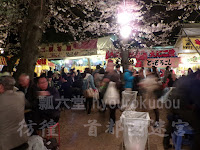 桜下の居酒屋