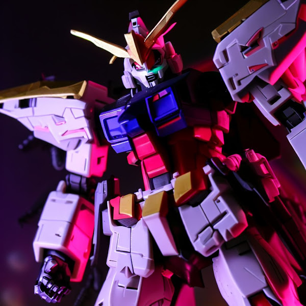 HG DESTINY GUNDAM (3)