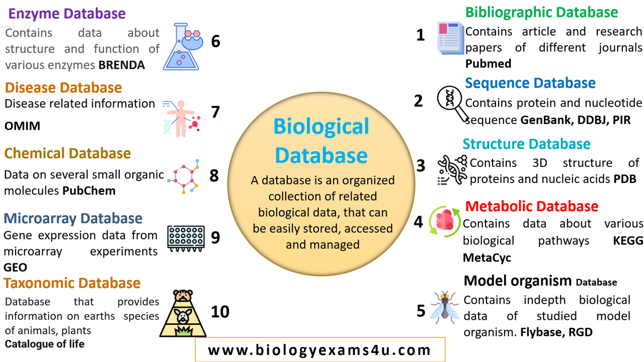 10 Types of Biological Databases