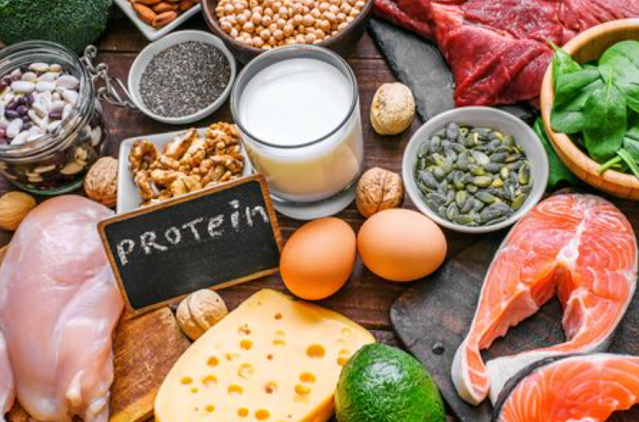 Decoding the Protein Diet Unraveling the Molecular Biology of Cellular Function
