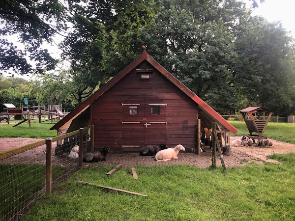 Ristende geiten, Kinderboerderij Rosurum, Zevenaar