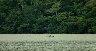 Laguna de aguas muy calmas rodeada de la vegetación de la mata atlántica tipica de Florianopolis. En el centro una persona en kajak dejándose llevar por el envión con el remo doble en posición de descanso