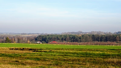Zdjęcie: