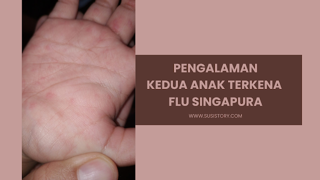 https://www.susistory.com/2023/12/pengalaman-terkena-flu-singapura.html